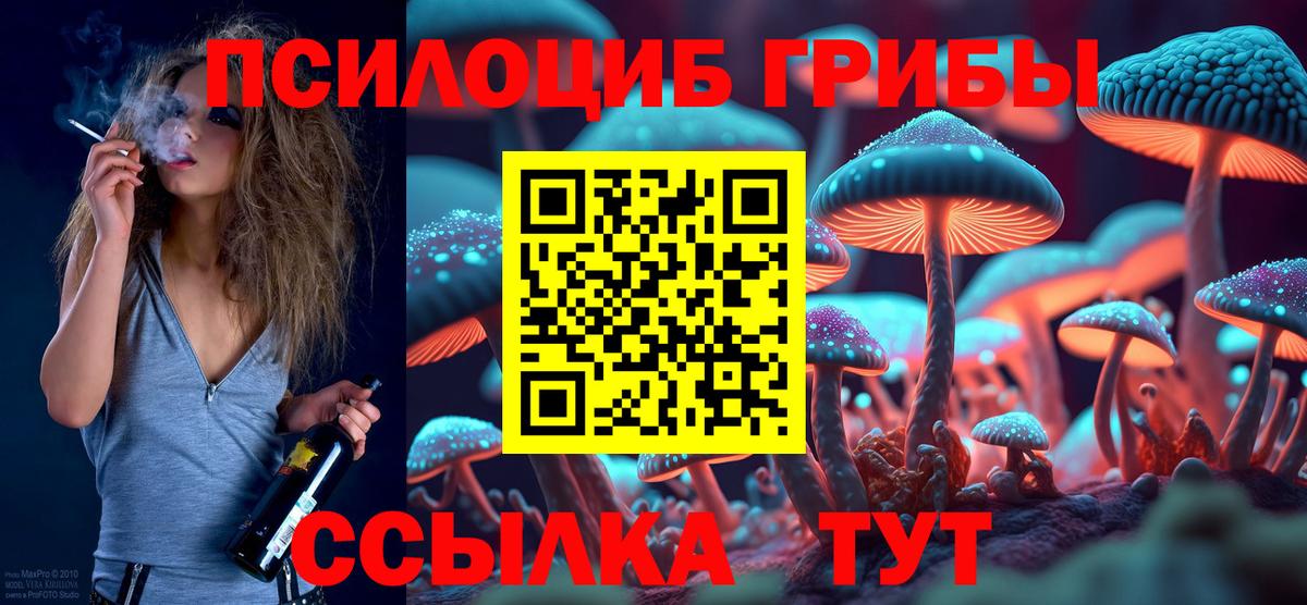 Галлюциногенные грибы GOLDEN TEACHER  Вход с VPN  Гурьевск 