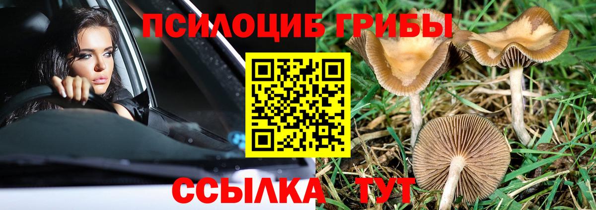 Галлюциногенные грибы мицелий Гурьевск